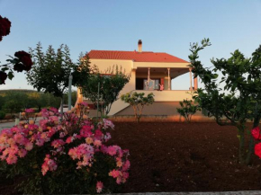 Ferienwohnung in Turanj mit Großem Garten